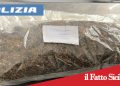 Catania. Vede i poliziotti e lancia la droga in strada