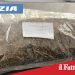 Catania. Vede i poliziotti e lancia la droga in strada
