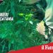 Paternò. Aveva allestito una serra per la Cannabis. Arrestato 50enne