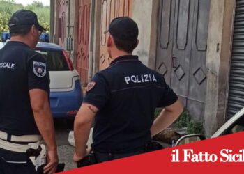 Adrano, Cani uccisi e torturati: denunciato 47enne