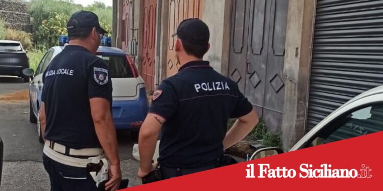 Adrano, Cani uccisi e torturati: denunciato 47enne