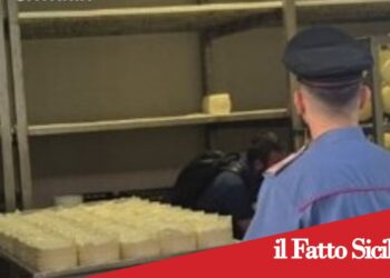 Maniace. Carenze igieniche nel caseificio: sospesa attività e maxi sanzioni