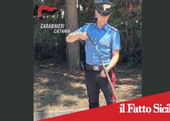 Prov.Catania. Sorprende il ladro di frutta nel suo terreno e viene minacciato con il fucile: denunciato un 80enne