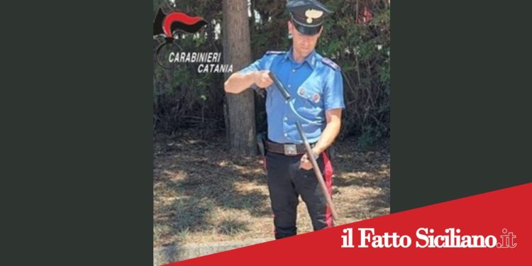 Prov.Catania. Sorprende il ladro di frutta nel suo terreno e viene minacciato con il fucile: denunciato un 80enne