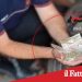 Belpasso.Nascondeva la droga in casa:arrestato 18enne