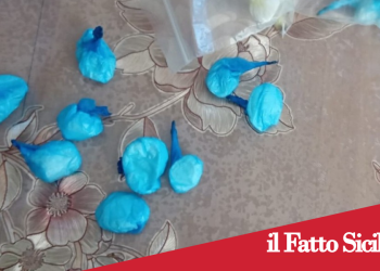 Catania. Continuava a spacciare da casa nonostante i domiciliari: arrestato