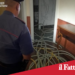 Pedara . Ruba cavi di rame da un albergo dismesso:arrestato