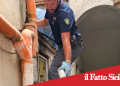Catania. Nasconde marijuana sul tetto ma dimentica una dose in cortile