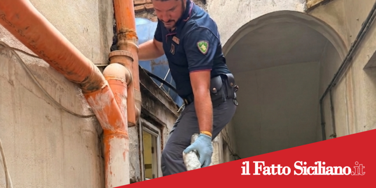 Catania. Nasconde marijuana sul tetto ma dimentica una dose in cortile