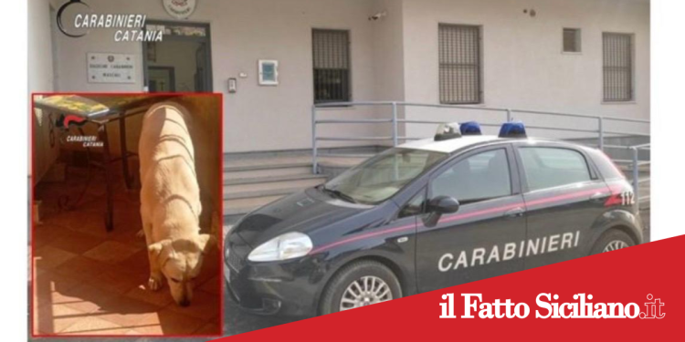 Mascali. Cane abbandonato sul balcone e sotto il sole.