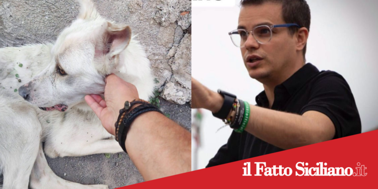 Adrano. Enrico Rizzi sarà presente alla manifestazione in memoria dei cani dati a fuoco