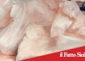 Catania. Scovato deposito di droga: arrestato 59enne