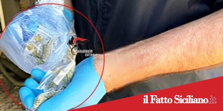 Ramacca. Beccato con droga agli arresti domiciliari