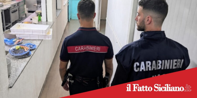 Prov. Catania. Carenze igieniche in 2 attività di ristorazione