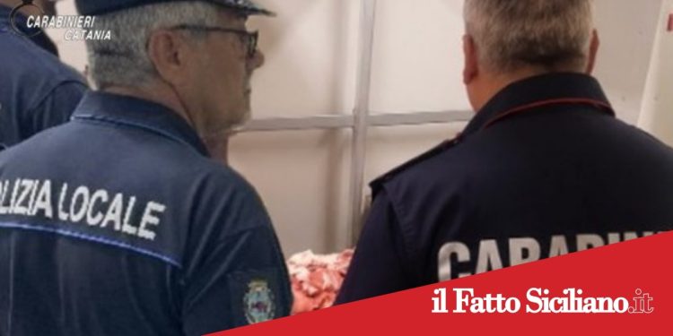 Catania. Sequestrata macelleria per gravi carenze igienico sanitarie