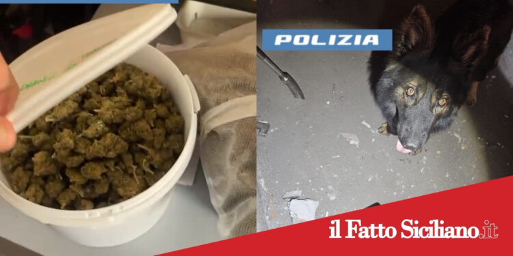 Catania. Aveva dato vita ad una piazza di spaccio online