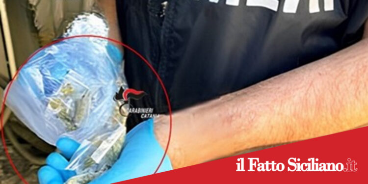 Misterbianco. Spacciava ai domiciliari: arrestato 22enne