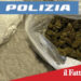 Catania. Sorpreso con una busta di marijuana nei pressi della questura
