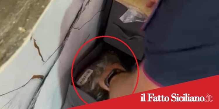 Catania. Evade dai domiciliari: Arrestato 20enne
