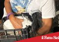 Catania. Trovato coniglietto in mezzo alla spazzatura durante operazione antidroga