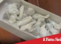Catania. Arrestato giovanissimo pusher di 14 anni