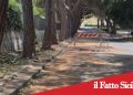 Paternò, viale Kennedy:al via lavori di riqualificazione