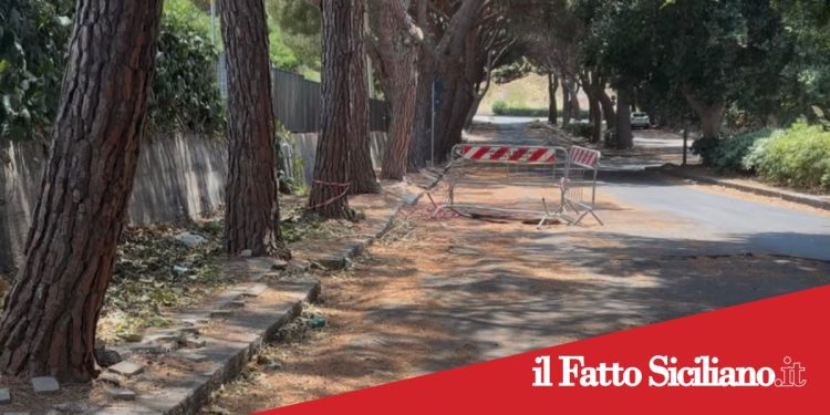 Paternò, viale Kennedy:al via lavori di riqualificazione