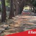 Paternò, viale Kennedy:al via lavori di riqualificazione