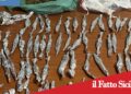 San Giovanni Galermo, vendeva droga agli automobilisti: arrestato baby-pusher