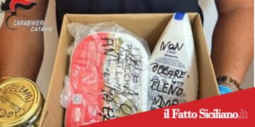 Ramacca, Strage di gatti randagi: denunciato 68enne