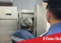 Prov.Catania. Controlli igienico-sanitari:multa da 15 mila euro in una macelleria