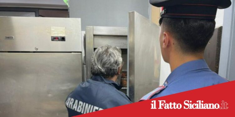 Prov.Catania. Controlli igienico-sanitari:multa da 15 mila euro in una macelleria