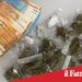 Catania. Tenta la fuga in auto fermato pusher 18enne