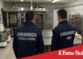 Catania. Sequestrati oltre 600 kg di alimenti in cattivo stato di conservazione in un bar-pizzeria: denunciata titolare