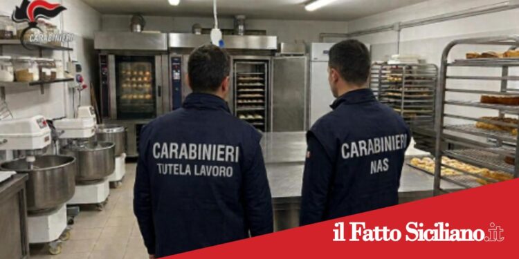 Catania. Sequestrati oltre 600 kg di alimenti in cattivo stato di conservazione in un bar-pizzeria: denunciata titolare