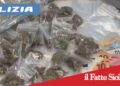 Catania. Nascondeva in casa oltre 1 kg di droga: arrestato 28enne