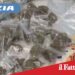 Catania. Nascondeva in casa oltre 1 kg di droga: arrestato 28enne