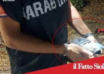 Prov.Catania. Scoperto con 120 dosi di droga nell’auto: denunciato 26enne