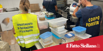 Catania.Sequestrati 210kg di alimenti e sanzione di oltre 9mila euro