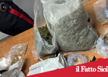 Prov.Catania .Scoperti oltre 4kg di droga e 229 cartucce in un casolare