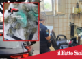 Acireale.Controlli per la sicurezza:arrestato un pusher