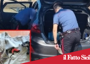 Prov.Catania.Furti d’uva:4 denunciati