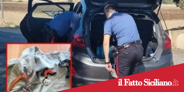 Prov.Catania.Furti d’uva:4 denunciati