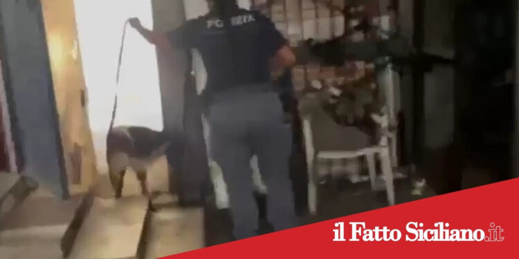 Catania. Scovati oltre 2kg di droga in un sottoscala