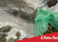 Catania. Consegnava la droga a domicilio: arrestato 46enne
