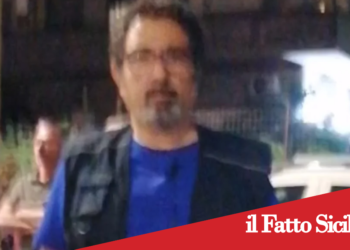 Adrano. Il “killer dei cani” stavolta avrebbe ucciso dei gattini