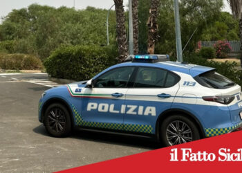 Catania. Donna gravemente ferita da un cane