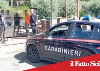 Catania. Controllo straordinario interforze