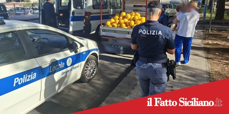 Paternò. Sequestrati oltre 500kg di prodotti ortofrutticoli non tracciati