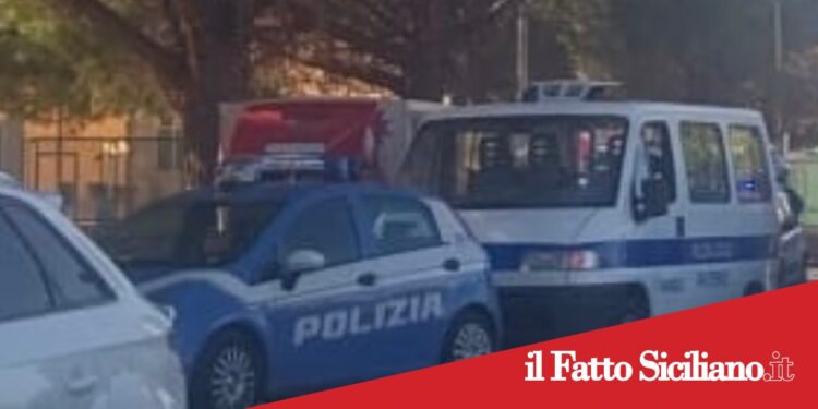 Paternò. Blitz interforze: Pugno duro contro l’abusivismo commerciale